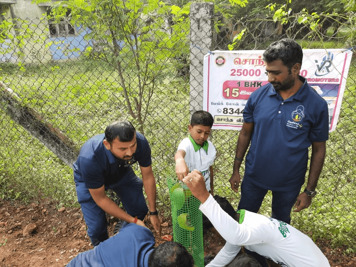 Sapling Distribution and Environmental Awareness